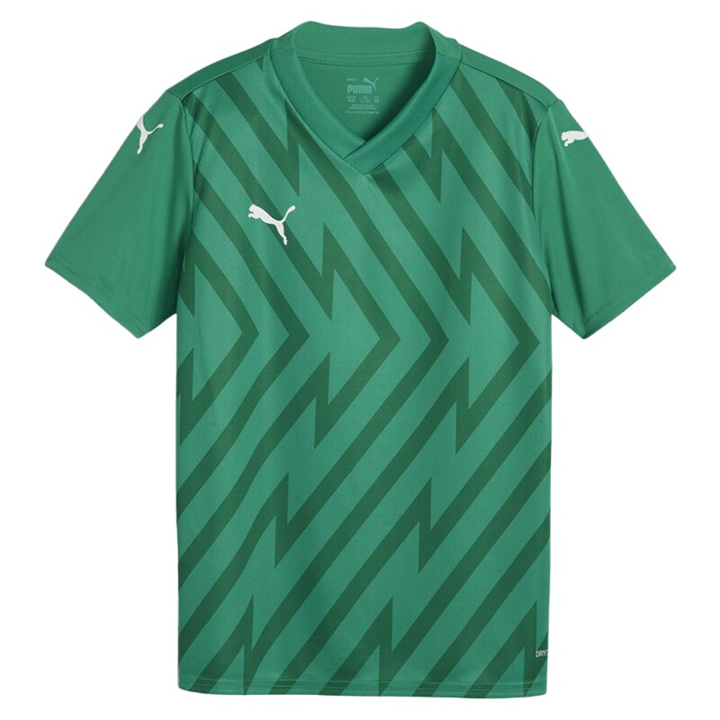 Dres Puma teamGLORY Jersey Jr 705741-05