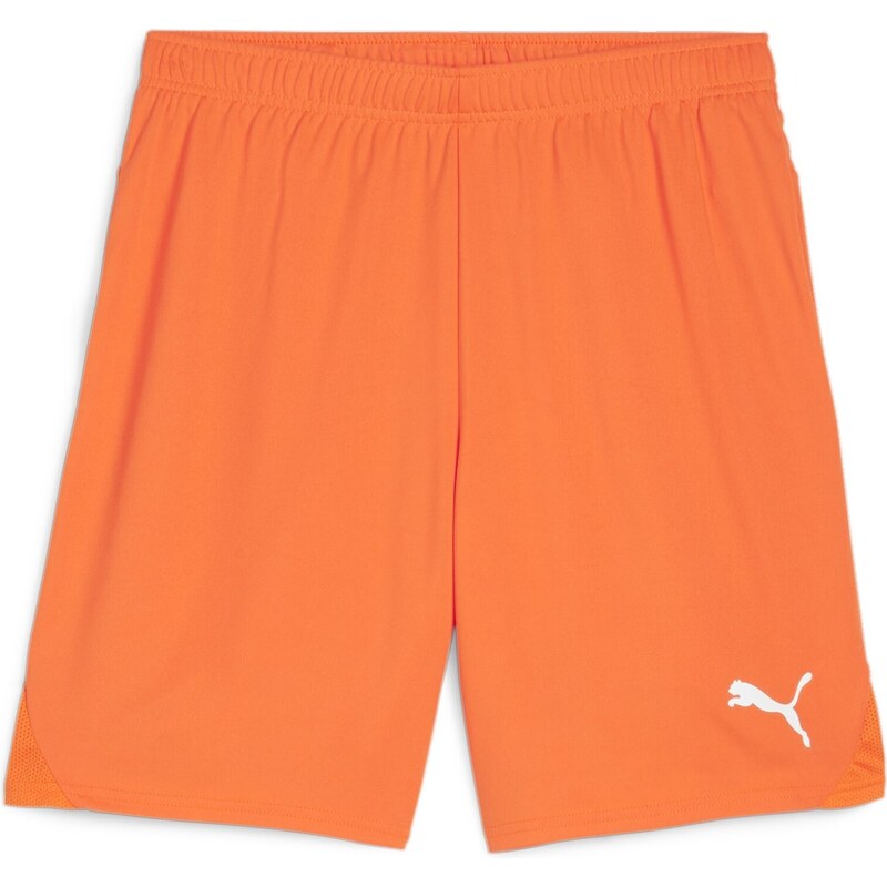 Šortky Puma teamGOAL Shorts 705752-08