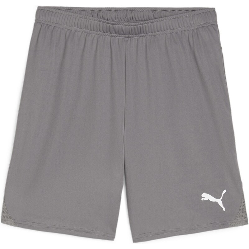 Šortky Puma teamGOAL Shorts 705752-13