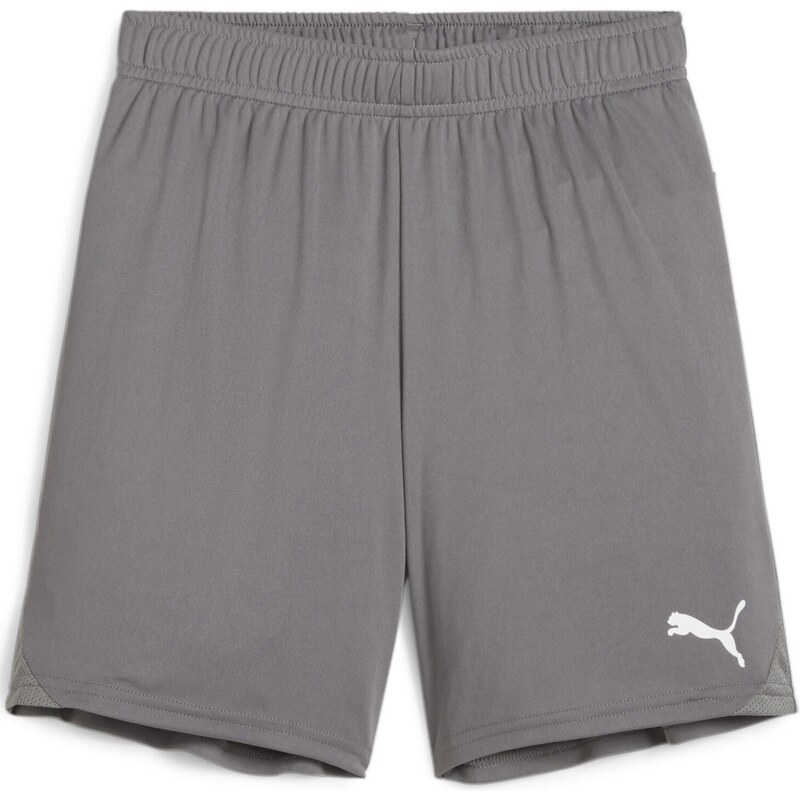 Šortky Puma teamGOAL Shorts Jr 705753-13