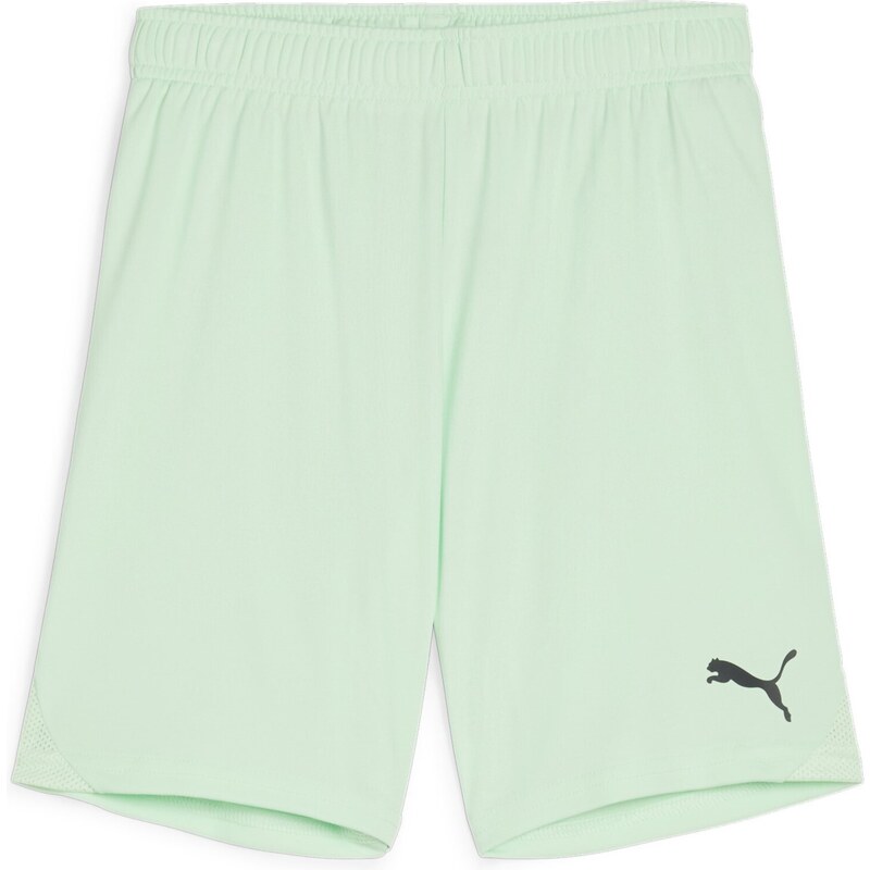 Šortky Puma teamGOAL Shorts Jr 705753-60