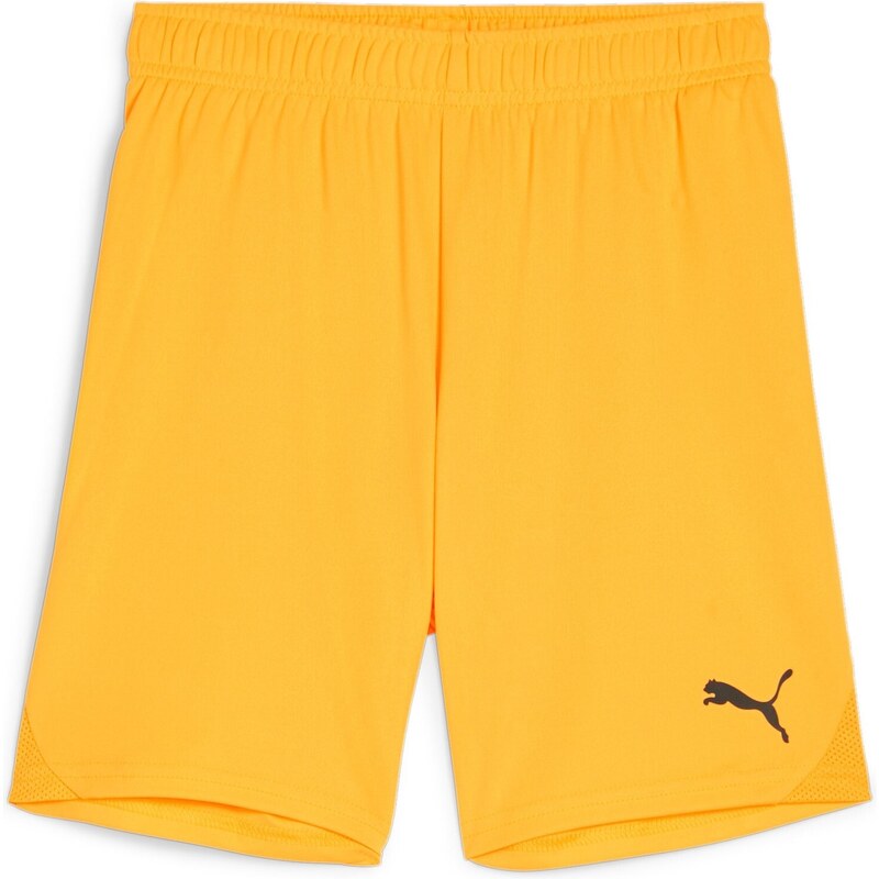 Šortky Puma teamGOAL Shorts Jr 705753-61