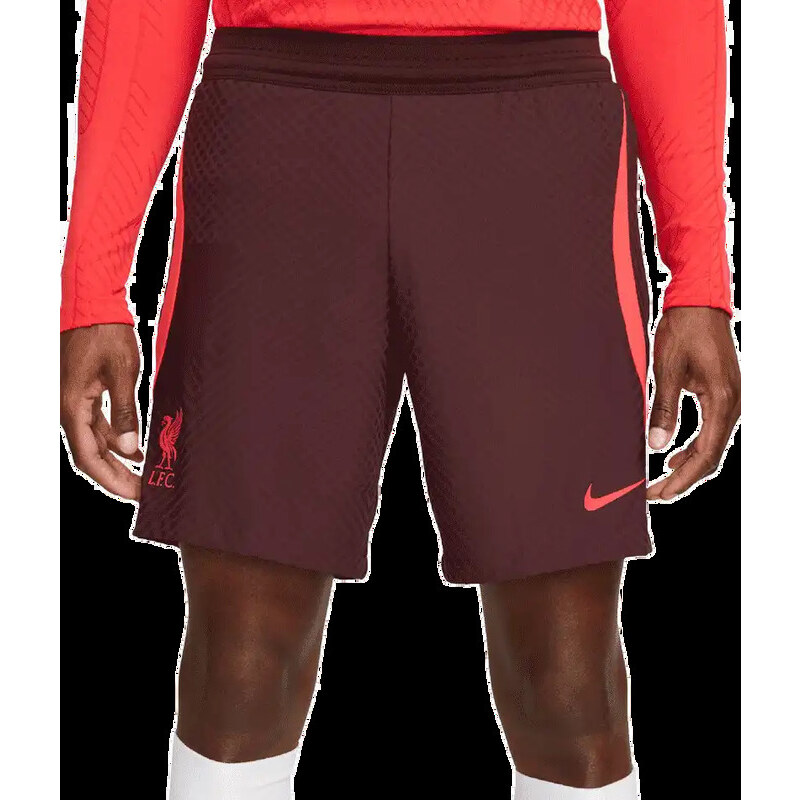 Pánské fotbalové šortky Nike Liverpool FC 22/23 Strike Elite Č