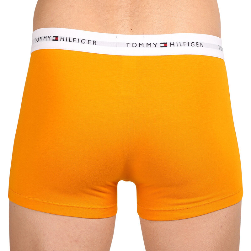 3PACK pánské boxerky Tommy Hilfiger vícebarevné (UM0UM02761 0XR)