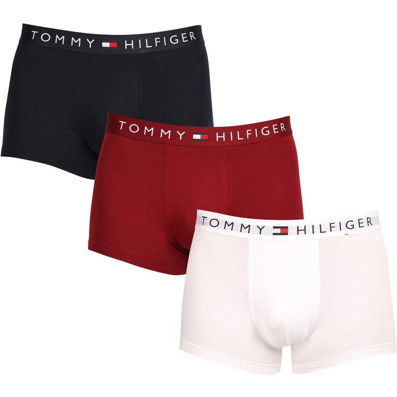 3PACK pánské boxerky Tommy Hilfiger vícebarevné (UM0UM03181 0SZ)