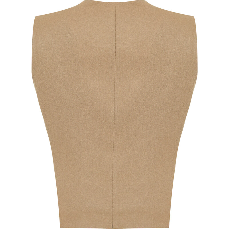 Trendyol Mink Premium Regular Woven Vest