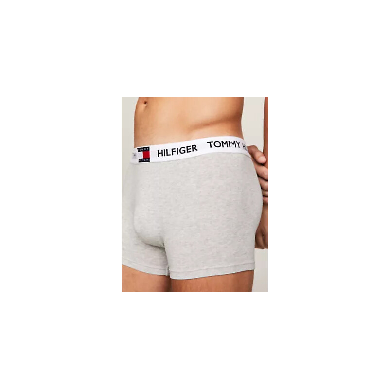 Spodní díl pánského spodního prádla TRUNK UM0UM01810P01 - Tommy Hilfiger