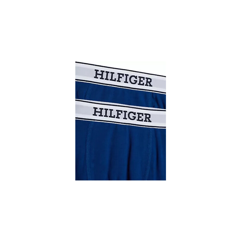 Chlapecké batohy Close to Body 2P TRUNK UB0UB005430TM - Tommy Hilfiger