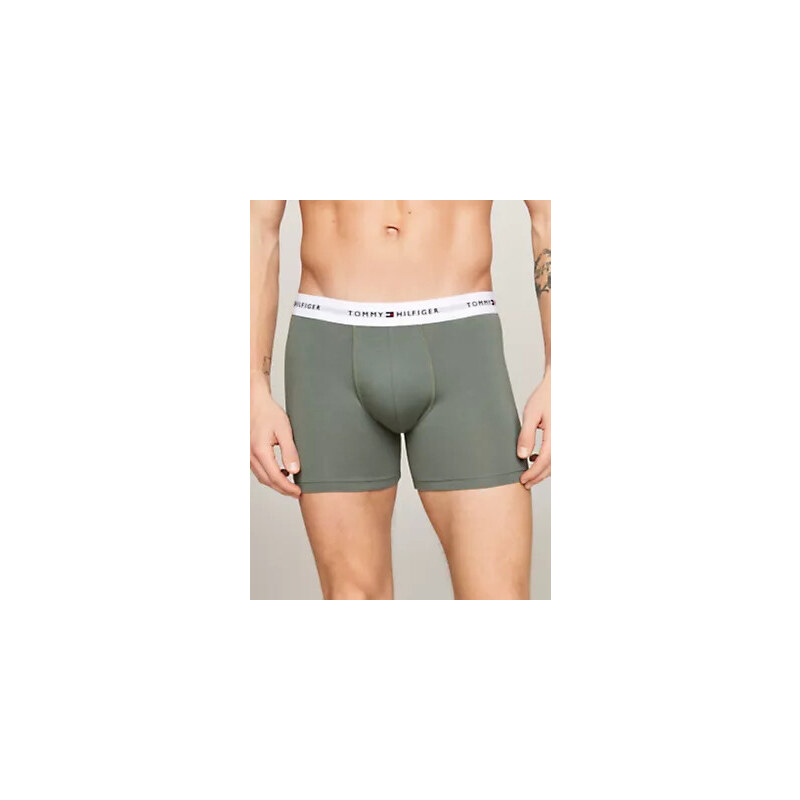 Pánské kalhoty 3P BOXER BRIEF UM0UM029410XY - Tommy Hilfiger