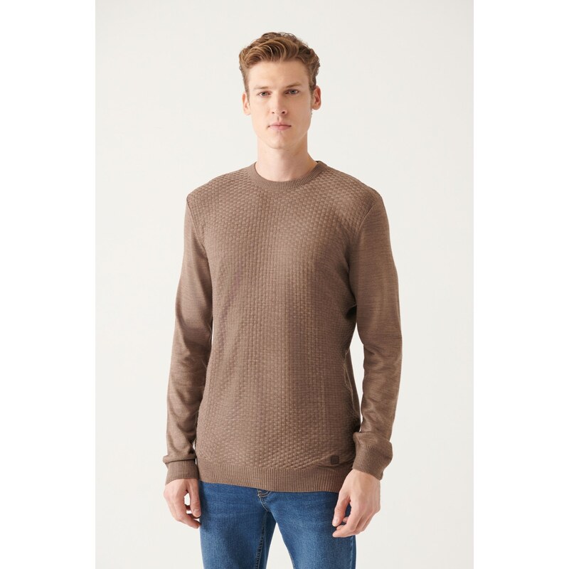 Avva Men's Mink Crew Neck Textured Front Regular Fit Knitwear Sweater