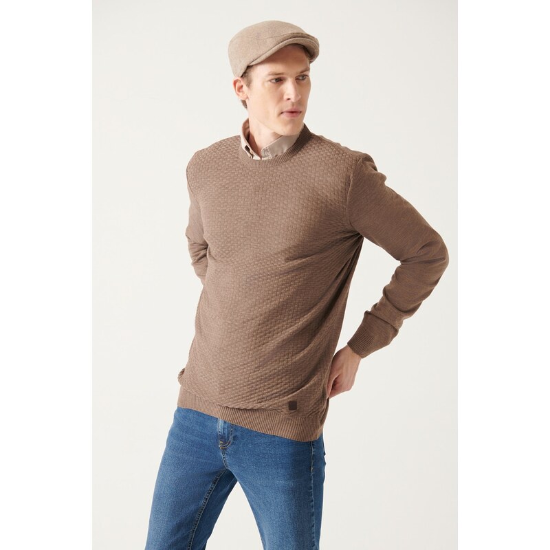 Avva Men's Mink Crew Neck Textured Front Regular Fit Knitwear Sweater