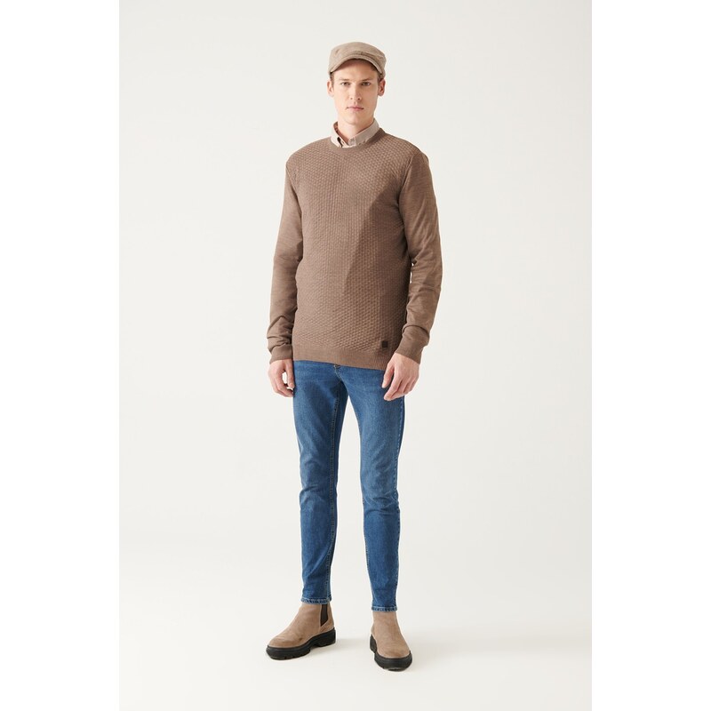 Avva Men's Mink Crew Neck Textured Front Regular Fit Knitwear Sweater