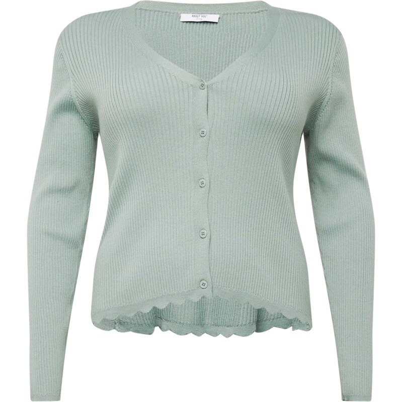 ABOUT YOU Curvy Kardigan Taria Cardigan zelená