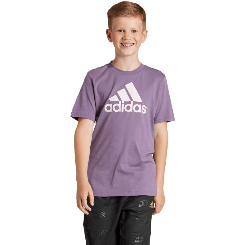 Adidas Essentials Big Logo Cotton Tee Jr IJ7061 Tričko