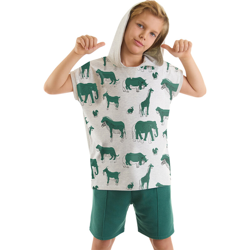 mshb&g Animals Boys T-shirt Shorts Set