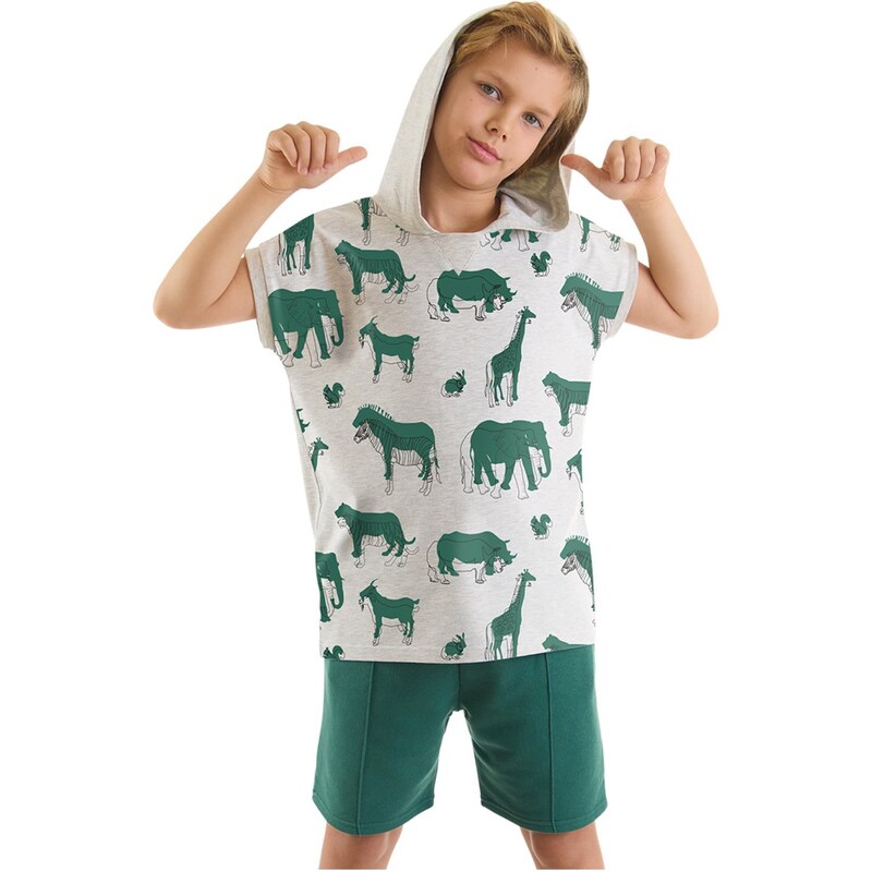 mshb&g Animals Boys T-shirt Shorts Set