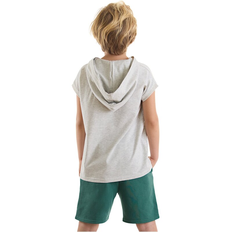 mshb&g Animals Boys T-shirt Shorts Set