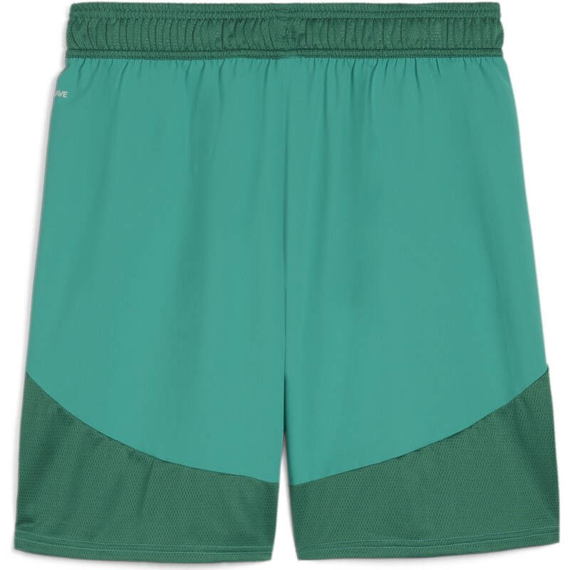 Šortky Puma teamFINAL Shorts 705743-05