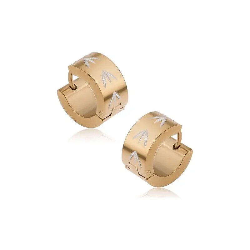 Šperky Eshop - Kruhové náušnice z oceli, zlaté, stříbrné šipky U31.01