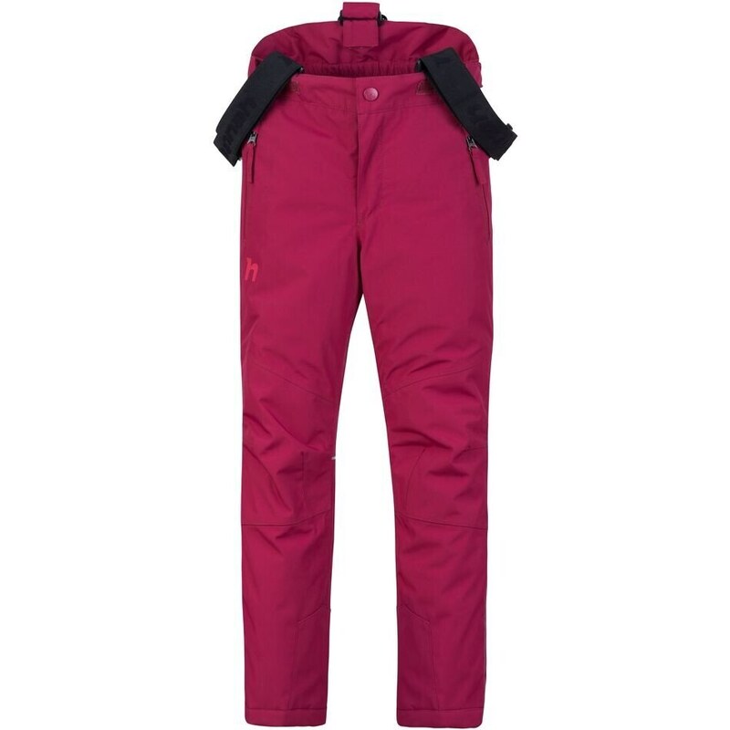 Dětské lyžařské kalhoty Hannah AKITA JR II anemone