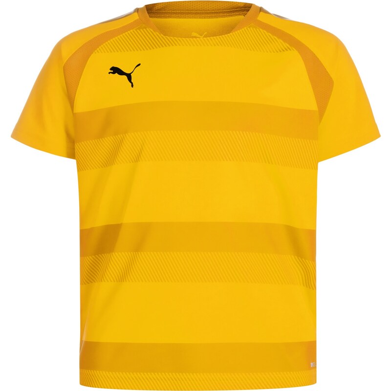 PUMA Funkční tričko TeamVision žlutá / oranžová / pastelově