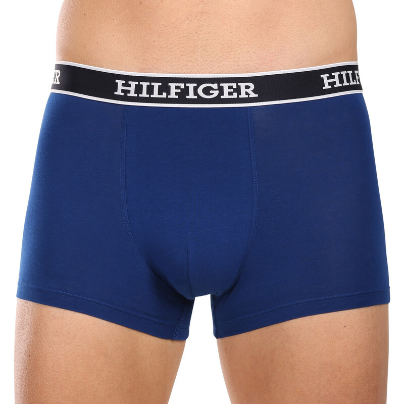 3PACK pánské boxerky Tommy Hilfiger vícebarevné (UM0UM03185 0SX)