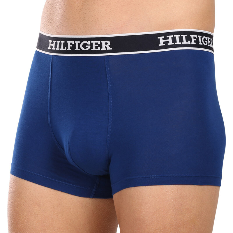 3PACK pánské boxerky Tommy Hilfiger vícebarevné (UM0UM03185 0SX)