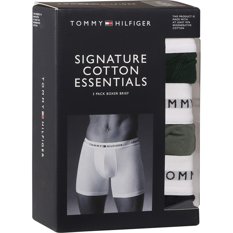 3PACK pánské boxerky Tommy Hilfiger vícebarevné (UM0UM02941 0XY)