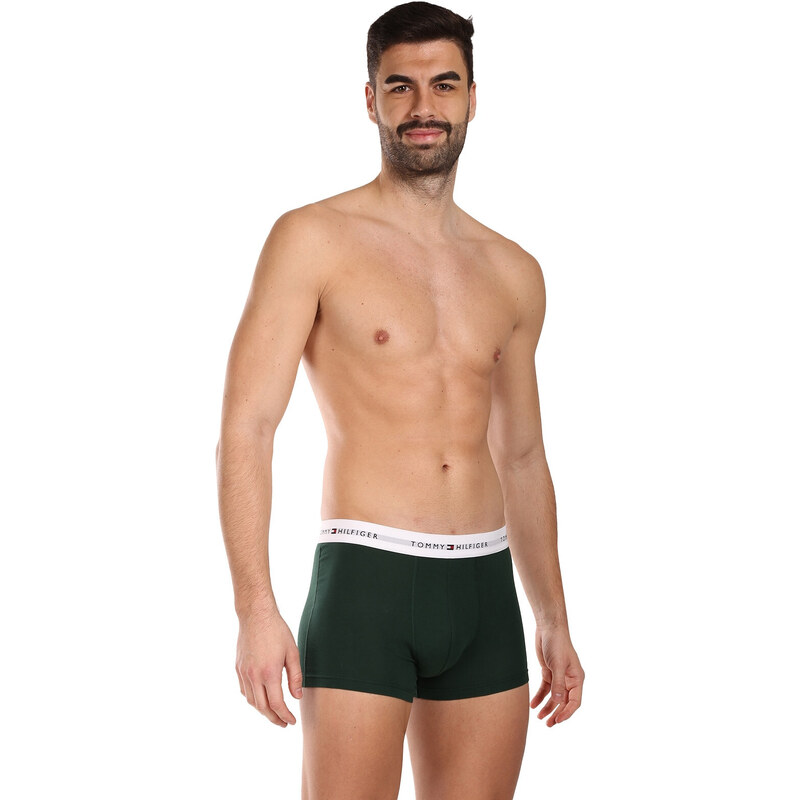 3PACK pánské boxerky Tommy Hilfiger vícebarevné (UM0UM02761 0XY)