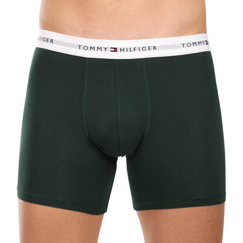 3PACK pánské boxerky Tommy Hilfiger vícebarevné (UM0UM02941 0XY)