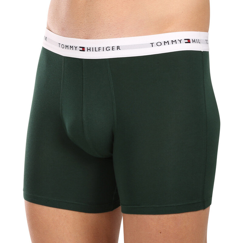 3PACK pánské boxerky Tommy Hilfiger vícebarevné (UM0UM02941 0XY)