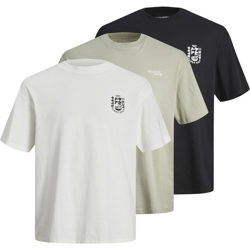 JACK & JONES Tričko JJDirk pastelově zelená / černá / bílá