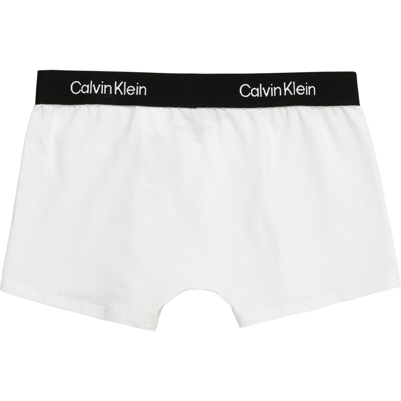 Calvin Klein Underwear Spodní prádlo černá / bílá