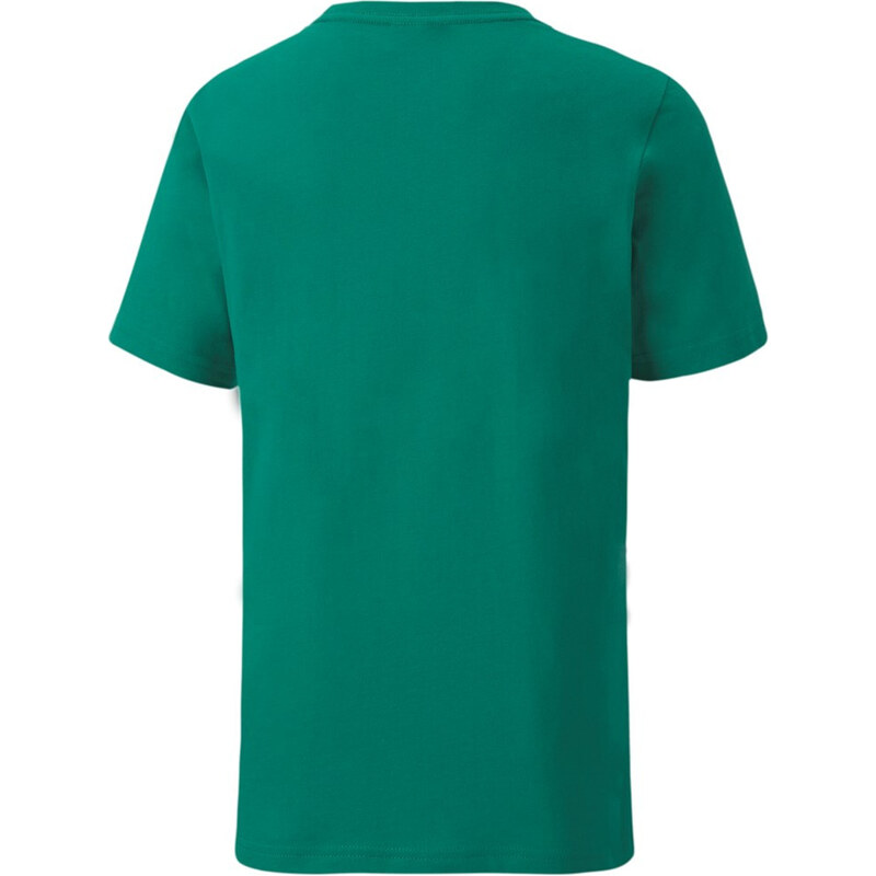 PUMA - DĚTSKÉ TRIČKO TEAMGOAL 23 TEE JR