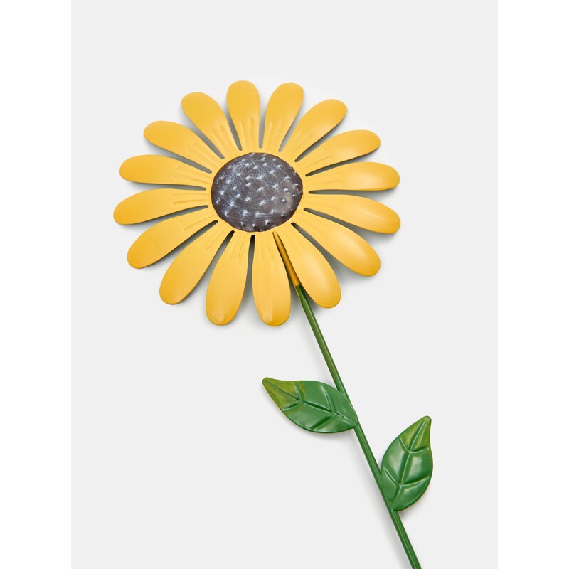 Sinsay - Okrasná rostlina - žlutá