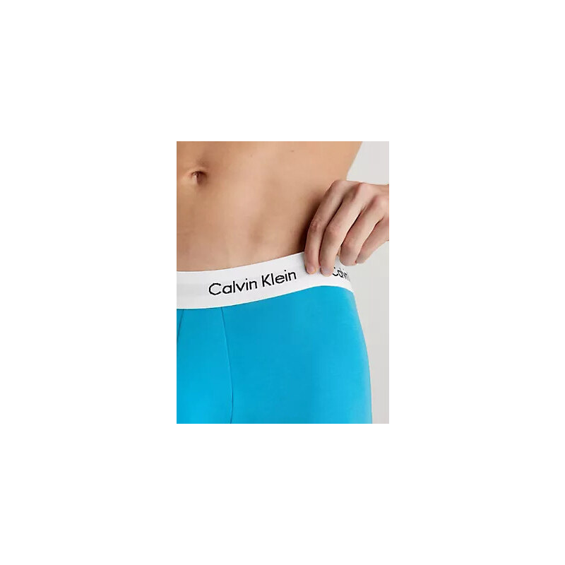 Pánské spodní prádlo LOW RISE TRUNK 3PK 0000U2664GN21 - Calvin Klein