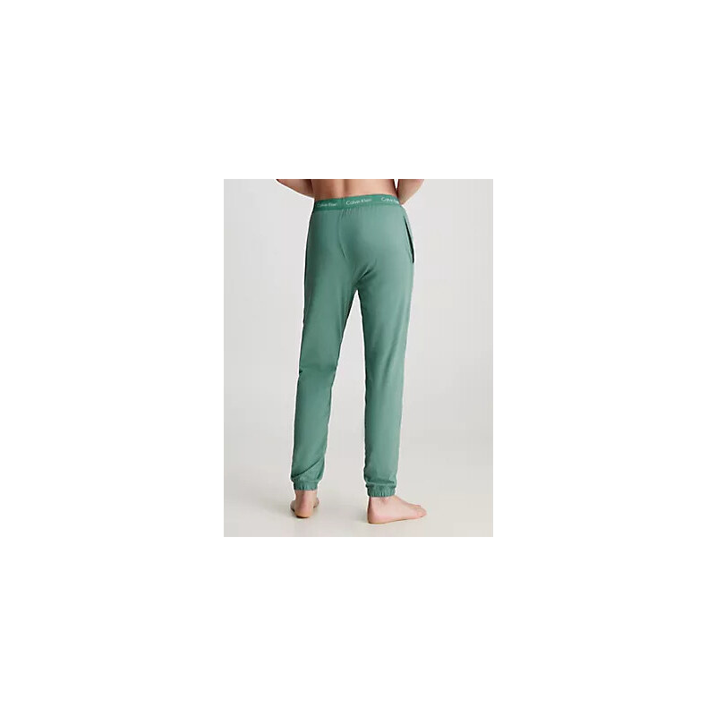 Spodní prádlo Pánské kalhoty JOGGER 000NM2545EK6F - Calvin Klein