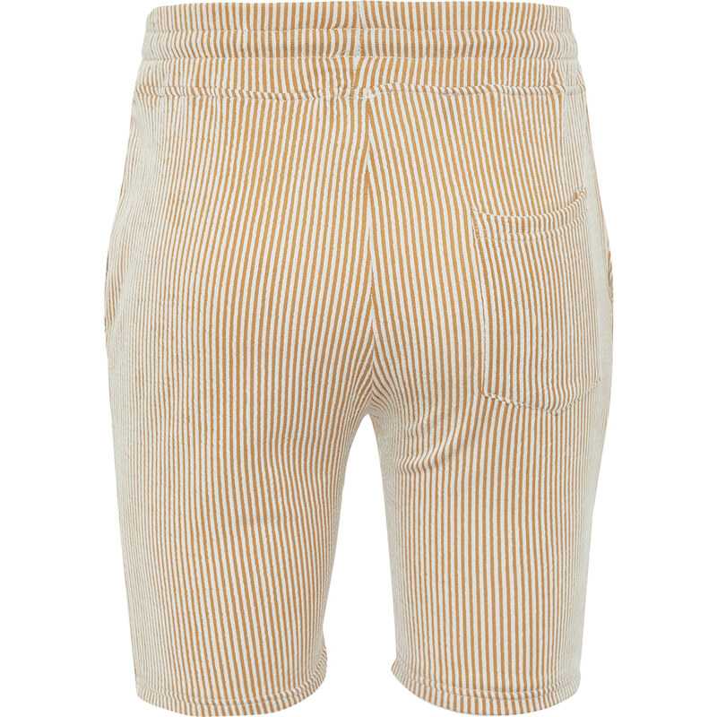 Trendyol Beige Striped Regular/Regular Fit Shorts