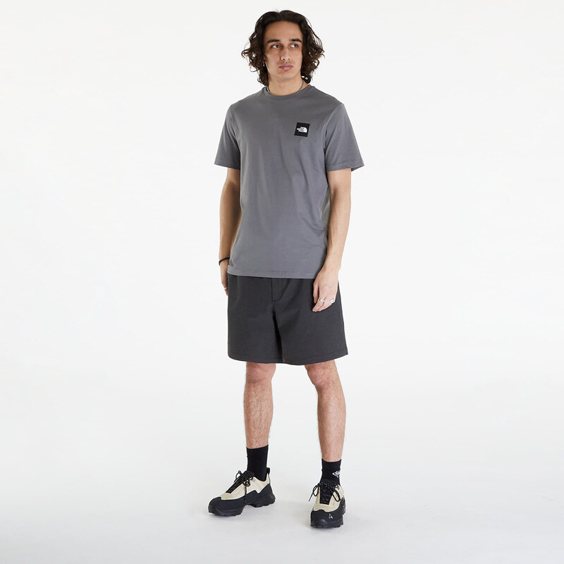 Pánské tričko The North Face Coordinates Short Sleeve Tee Smoked Pearl