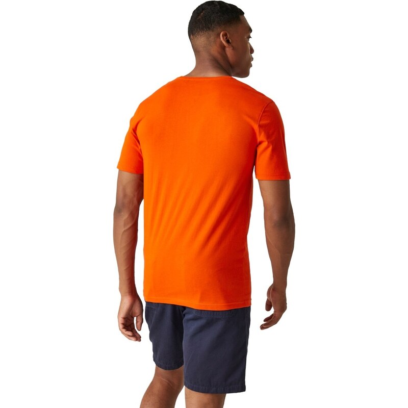 Pánské tričko Regatta CLINE VIII oranžová