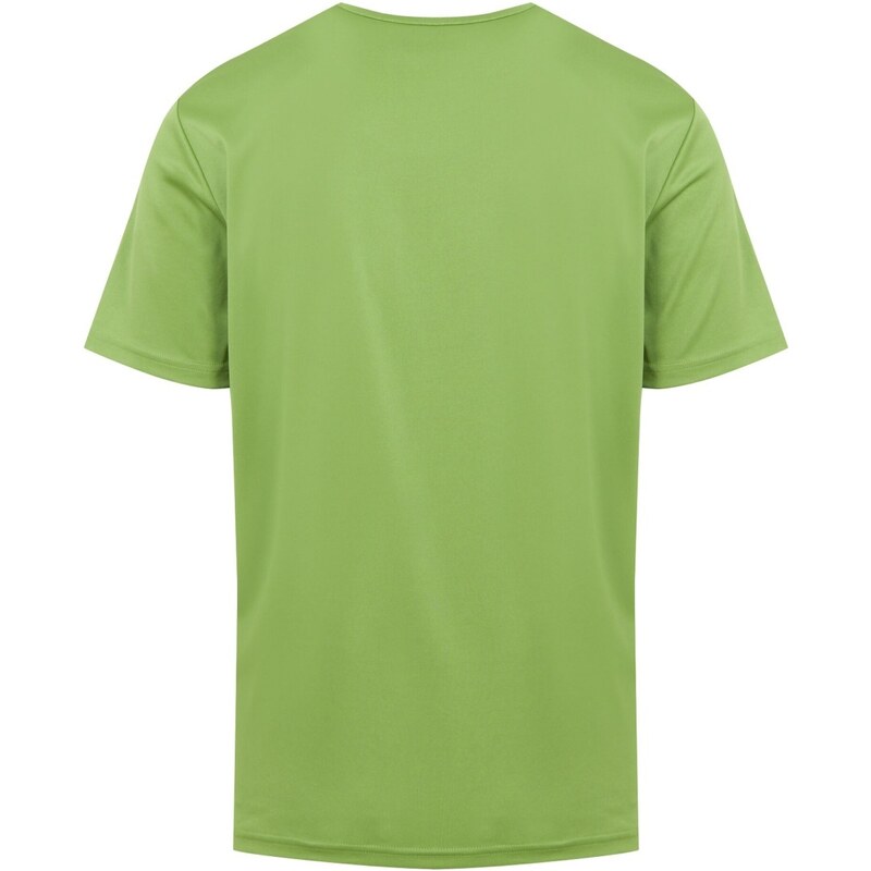 Pánské funkční tričko Regatta FINGAL VIII zelená