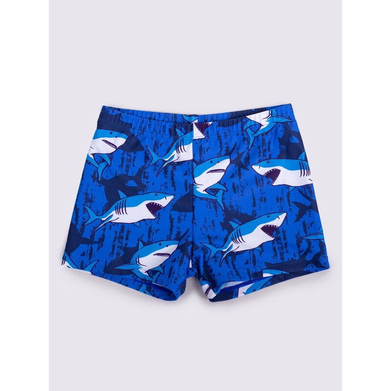 Yoclub Kids's Boys' Swimming Shorts LKS-0059C-A100