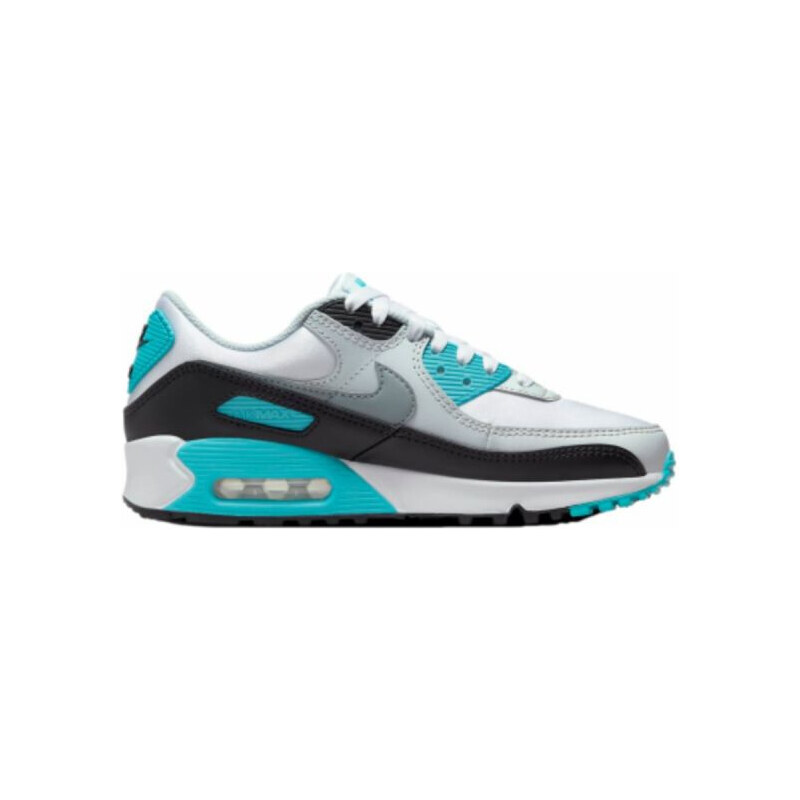 Boty Nike Air Max 90 W FB8570-101