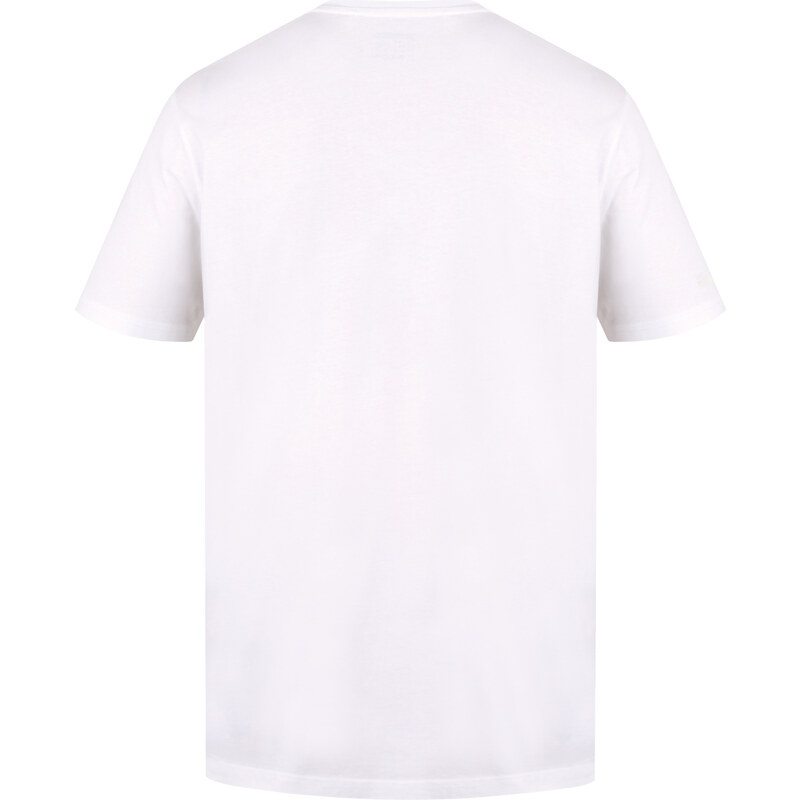 Pánské bavlněné triko HUSKY Tee Skyline M white