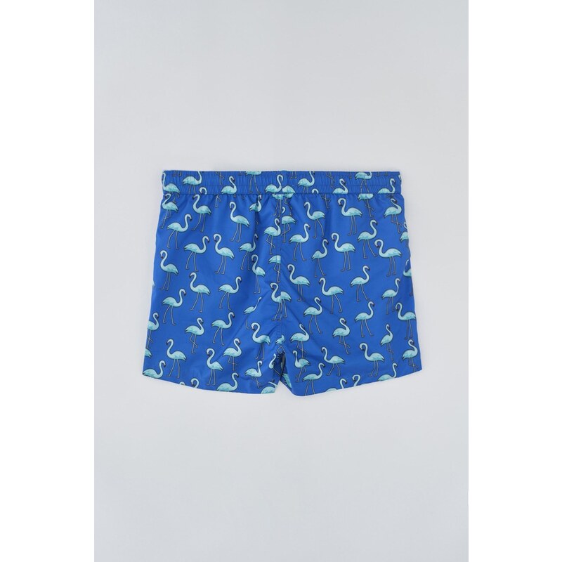 Dagi Sax Micro Short Flamingo Patterned Marine Shorts