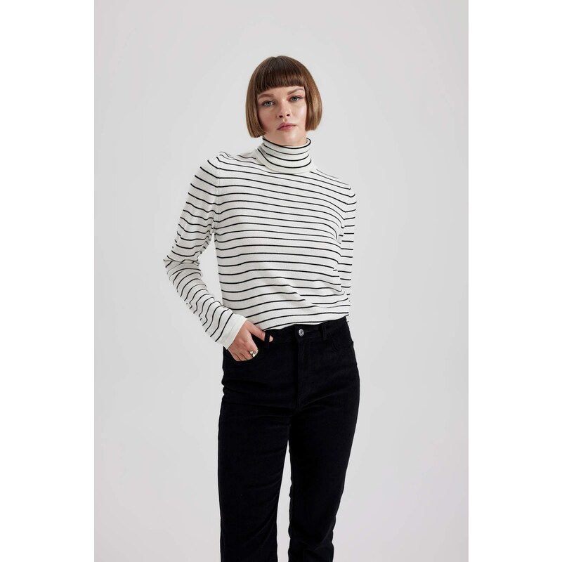 DEFACTO Regular Fit Turtleneck Pullover