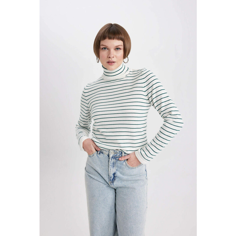 DEFACTO Regular Fit Turtleneck Pullover