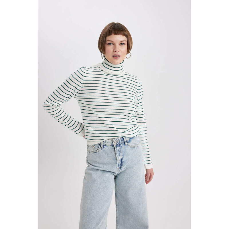 DEFACTO Regular Fit Turtleneck Pullover