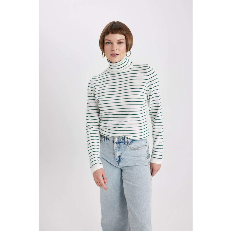 DEFACTO Regular Fit Turtleneck Pullover