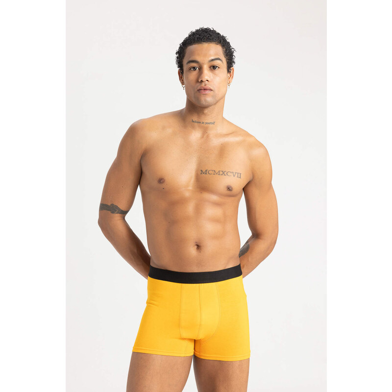 DEFACTO 3 piece Regular Fit Knitted Boxer